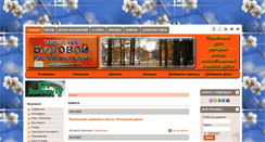 Desktop Screenshot of borovoy.net